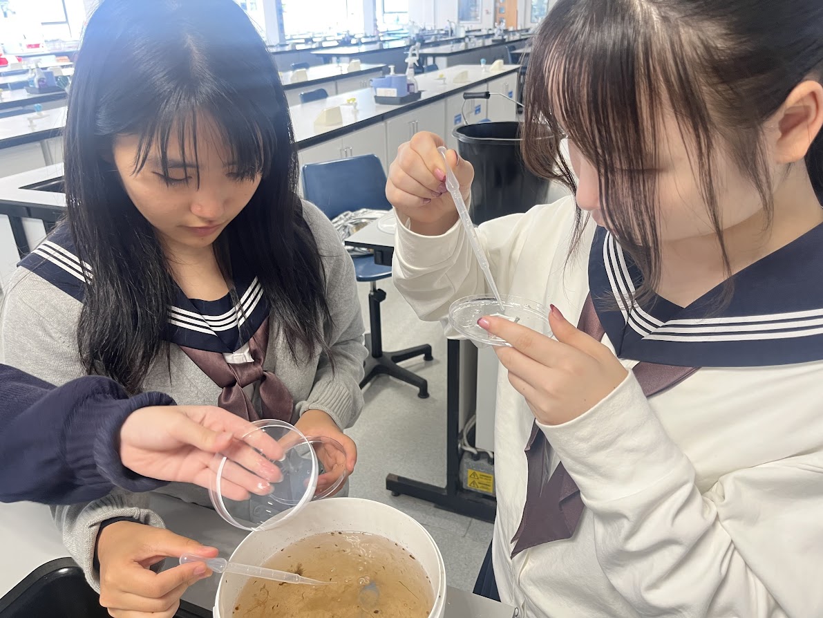 20250821 理数ファウンデーション研修8